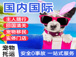 徐州观音航空货运国际宠物托运 【国